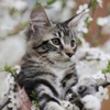 staywinter