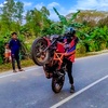 osstheer_rahi