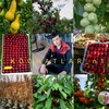 mevaliy_kochatlar_agro