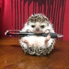 harmful_hedgehog