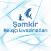 semkirbaliqcilar