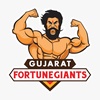 fortunegiants