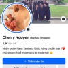 cherry.nguyen2000