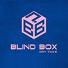 blindbox.art.toy