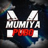 mumiya_pubgm_tt