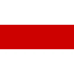 Belarus TikTok