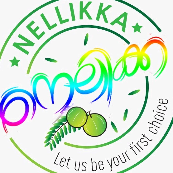 nellikka_official - original sound