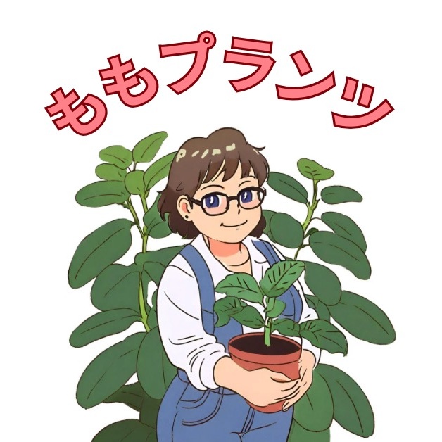 🦄 @momo_plants - 植物の変態ももです🪴 - TikTok