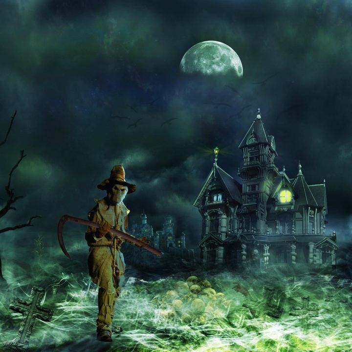 Tim Beek - Ghost