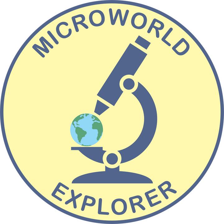Microworld Explorer