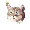 march_the_cat