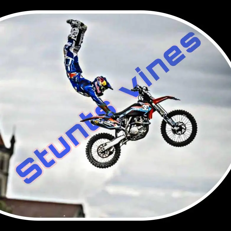 Stunts_vines