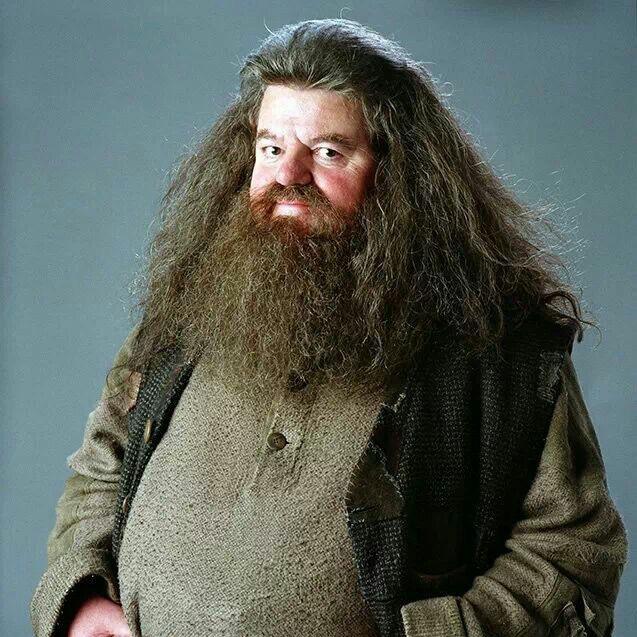 🦄 @officialhagrid - Rubeus Hagrid - TikTok