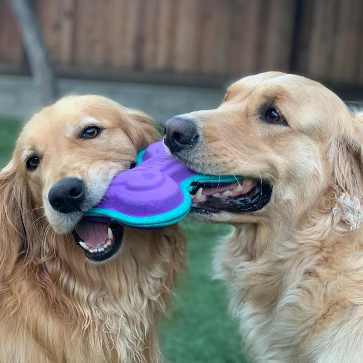 @twogoldens