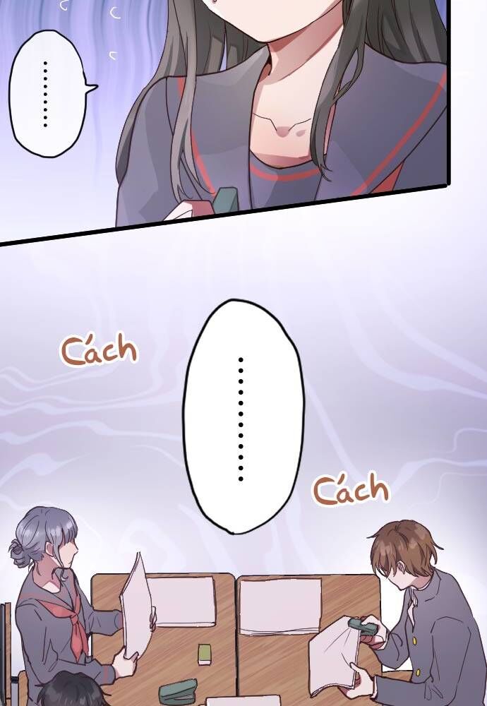 Hoa Cánh Sao