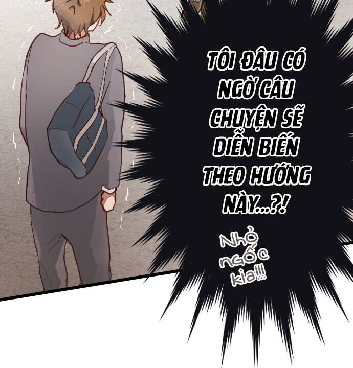 Hoa Cánh Sao