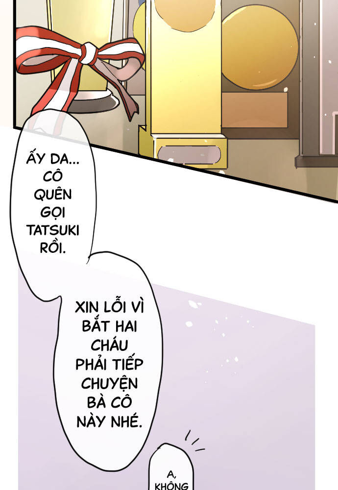 Hoa Cánh Sao