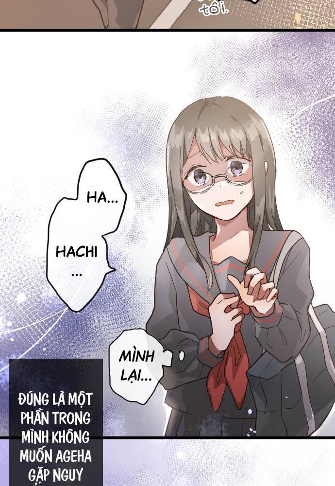 Hoa Cánh Sao