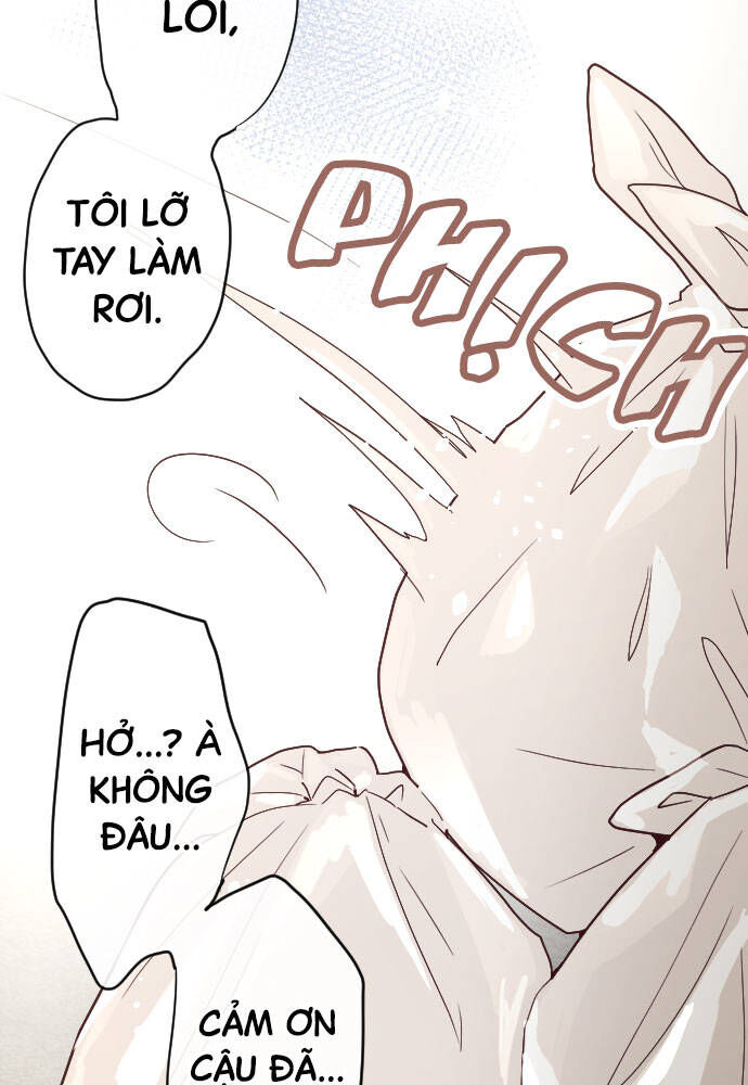 Hoa Cánh Sao