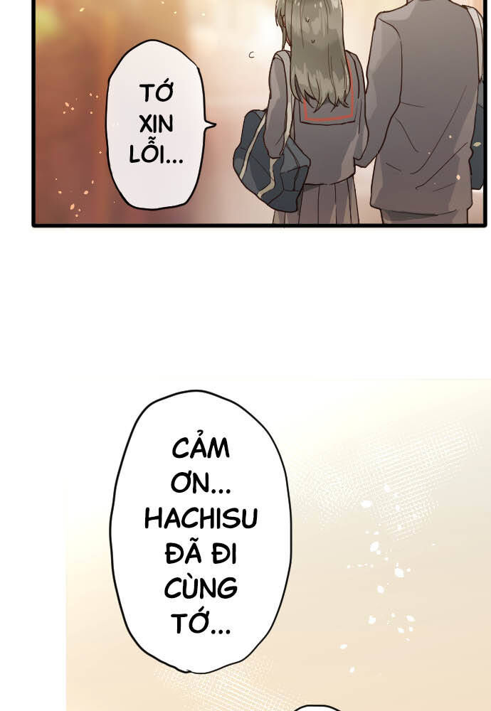 Hoa Cánh Sao