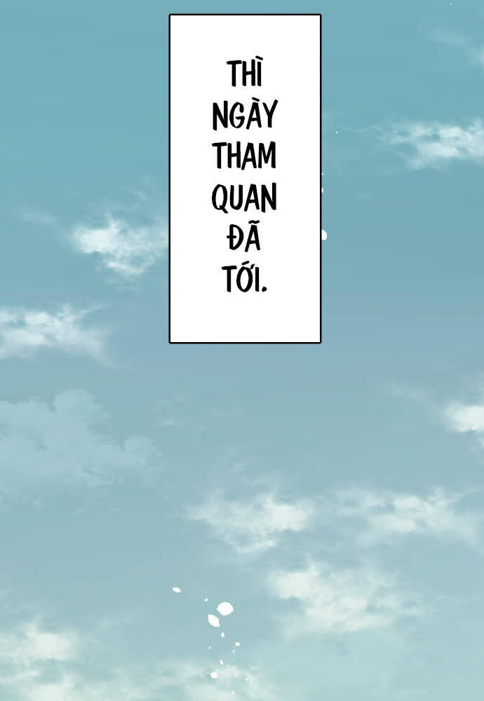 Hoa Cánh Sao
