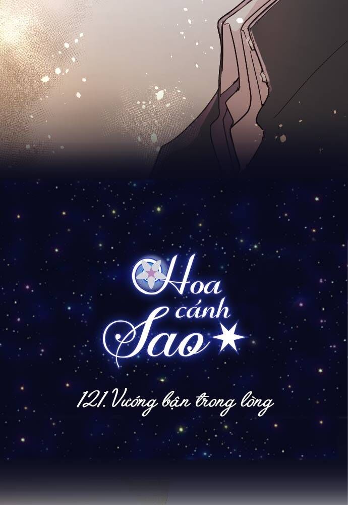 Hoa Cánh Sao