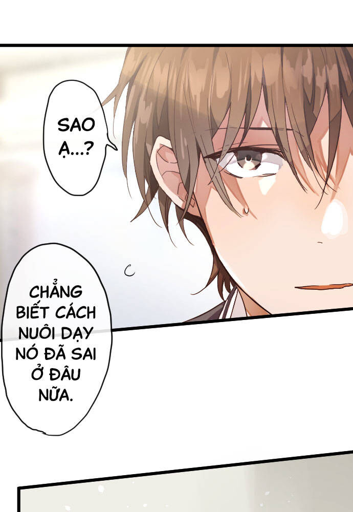 Hoa Cánh Sao