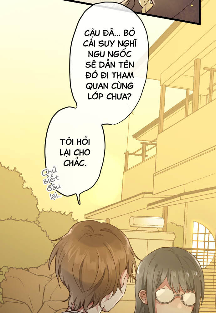 Hoa Cánh Sao