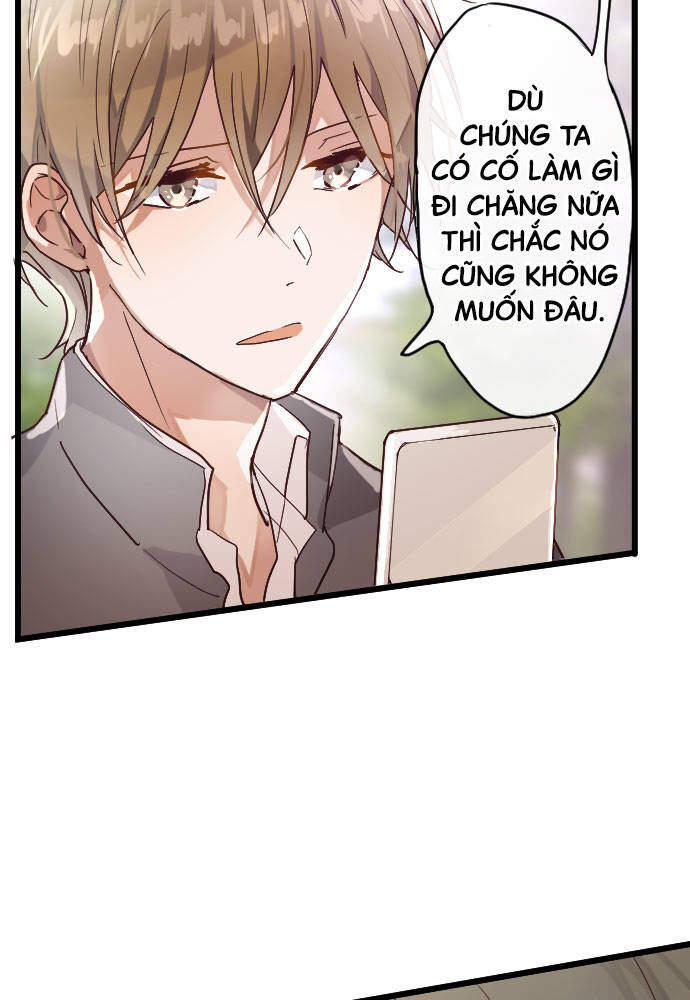 Hoa Cánh Sao