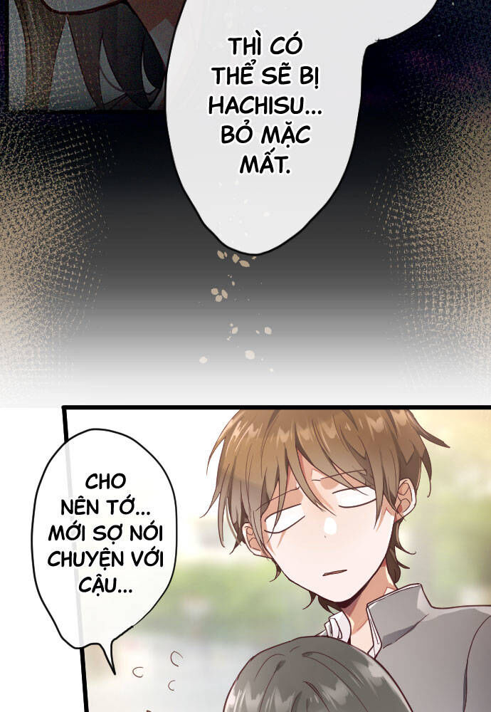 Hoa Cánh Sao