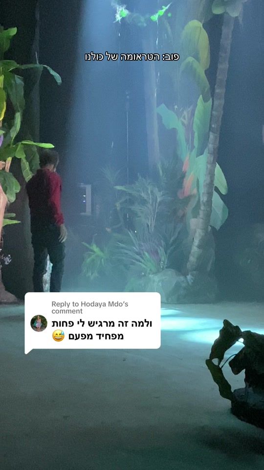 TikTok video thumbnail by alona_tenenbaum