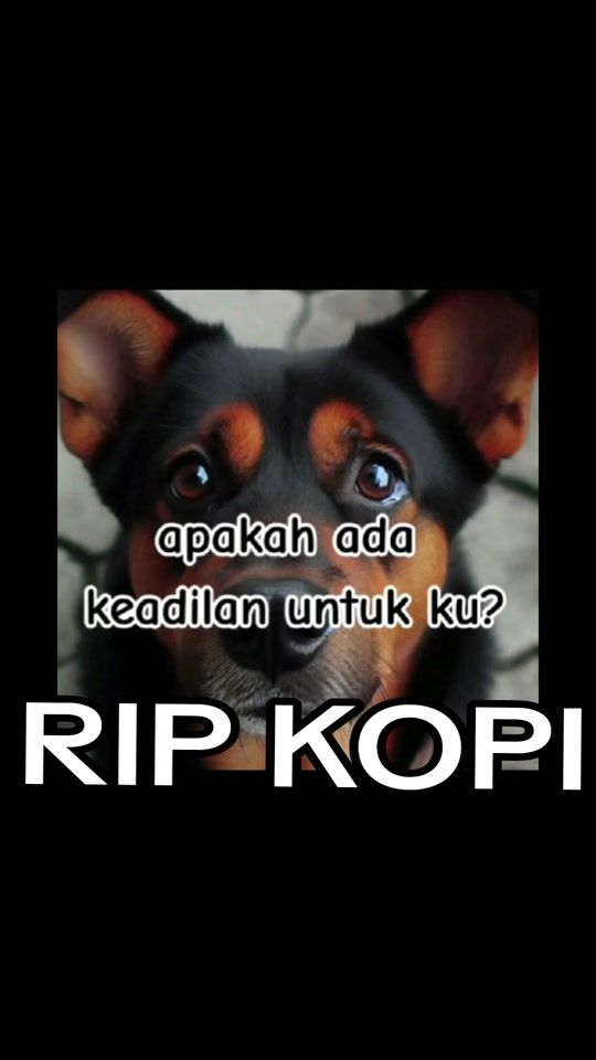 TikTok video thumbnail by shah_963_