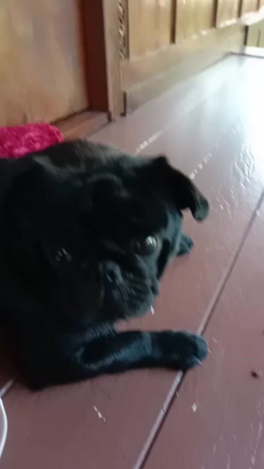 TikTok video thumbnail by user8335322956505