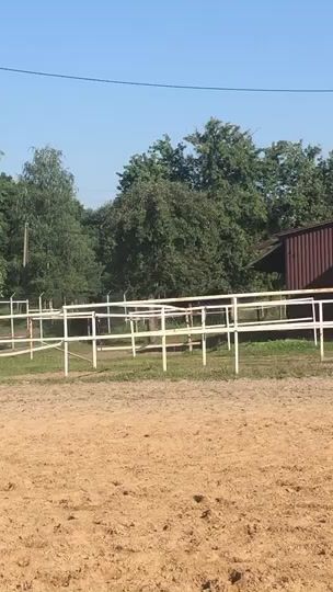 TikTok video thumbnail by _equestrian.n