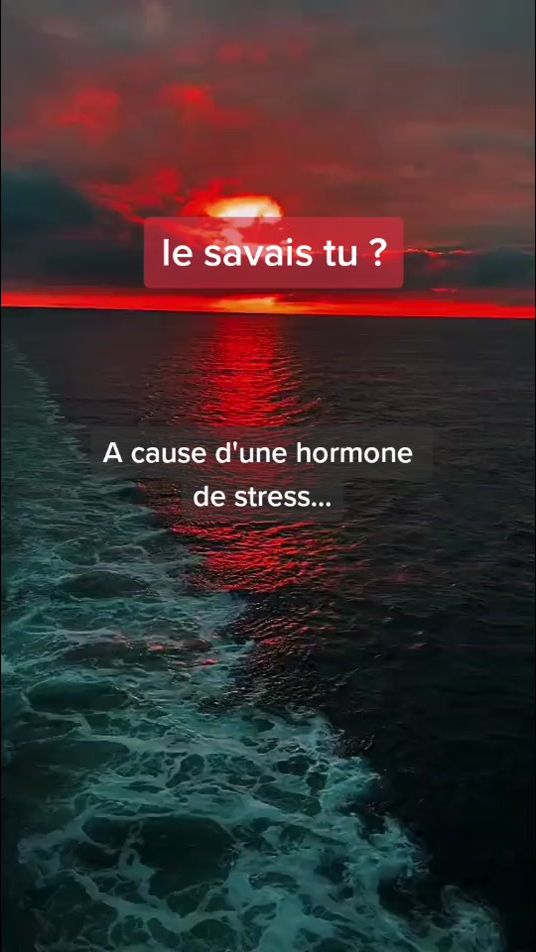 TikTok video thumbnail by le_savais_tu29