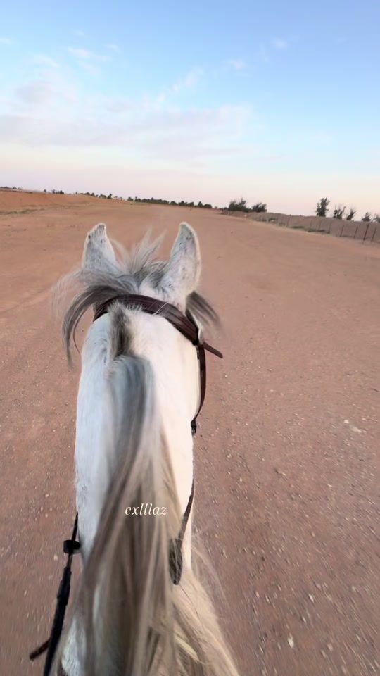 TikTok video thumbnail by cxlllaz