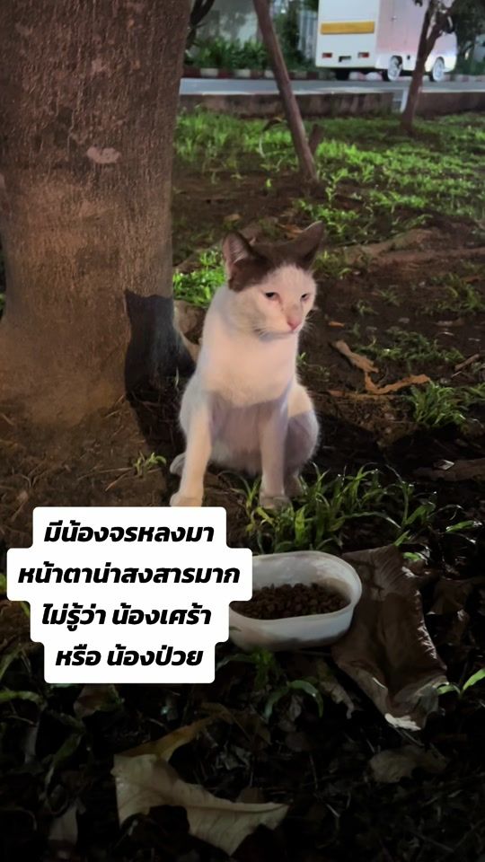 TikTok video thumbnail by ano.praew