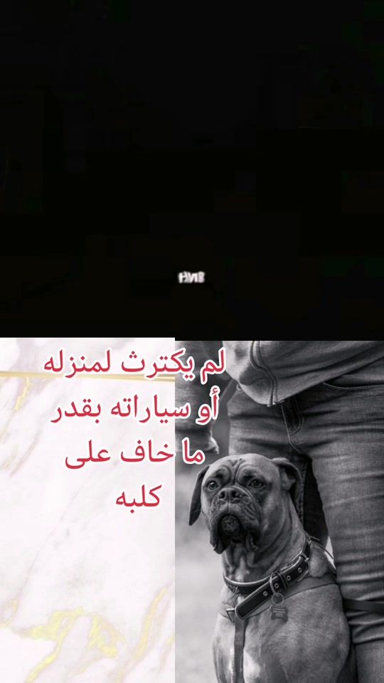 TikTok video thumbnail by mission_m