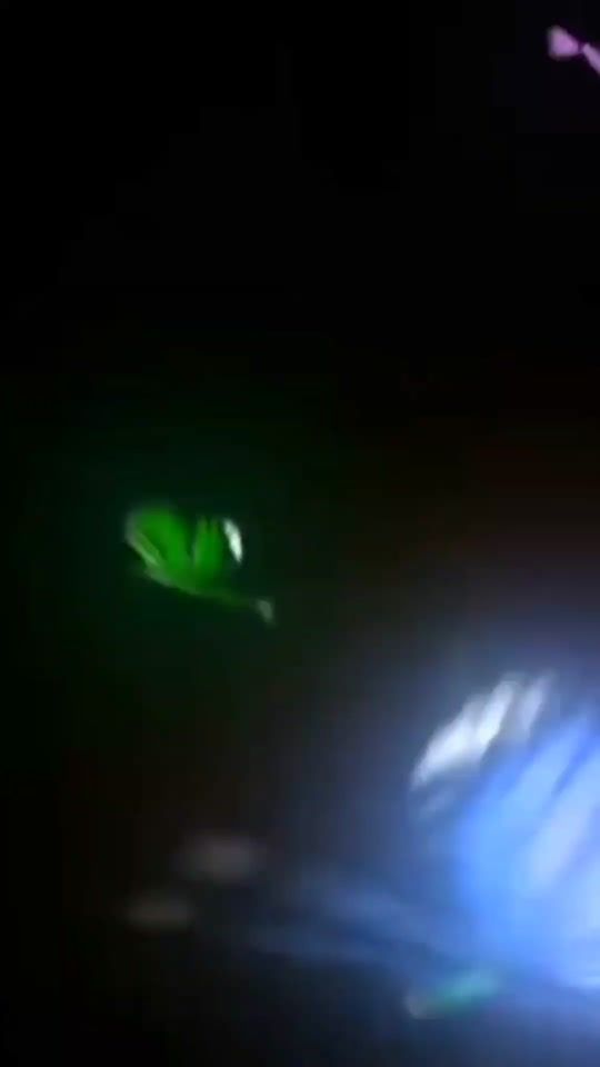 TikTok video thumbnail by lisushadang4