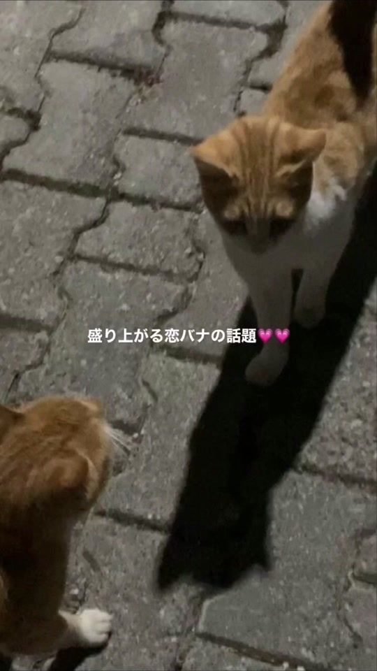 TikTok video thumbnail by yu___xx1