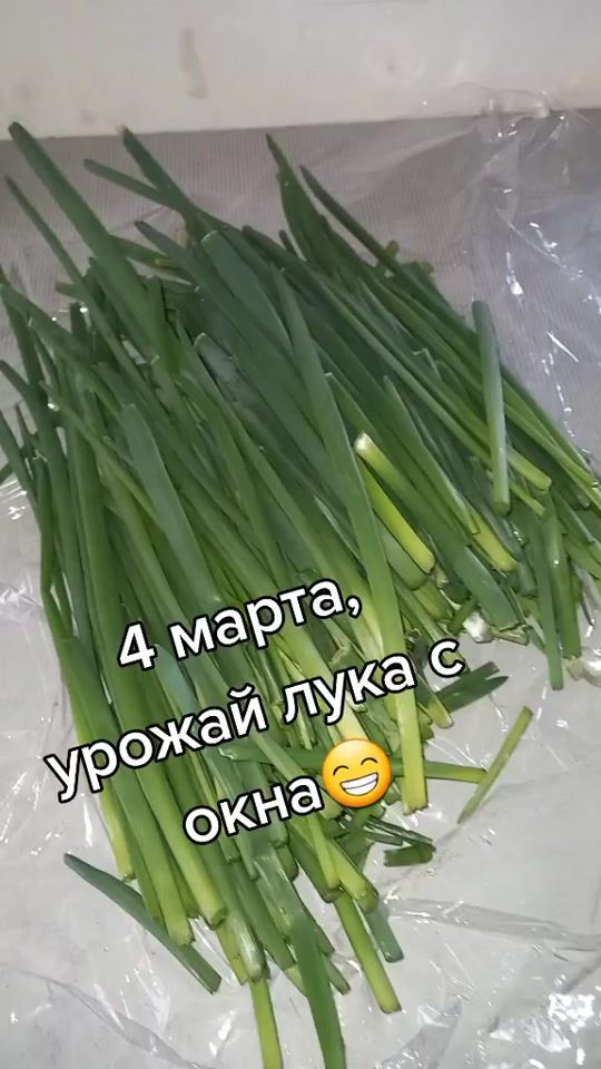 TikTok video thumbnail by user7070165898301