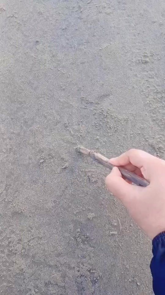 TikTok video thumbnail by kafairbow