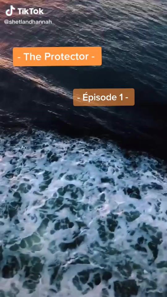 TikTok video thumbnail by histoire2k20