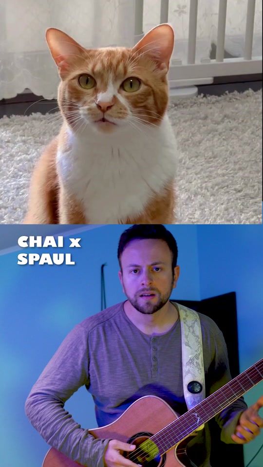 TikTok video thumbnail by spaulrecords