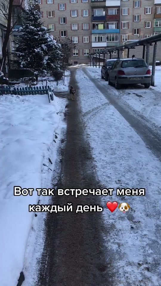 TikTok video thumbnail by avdenski