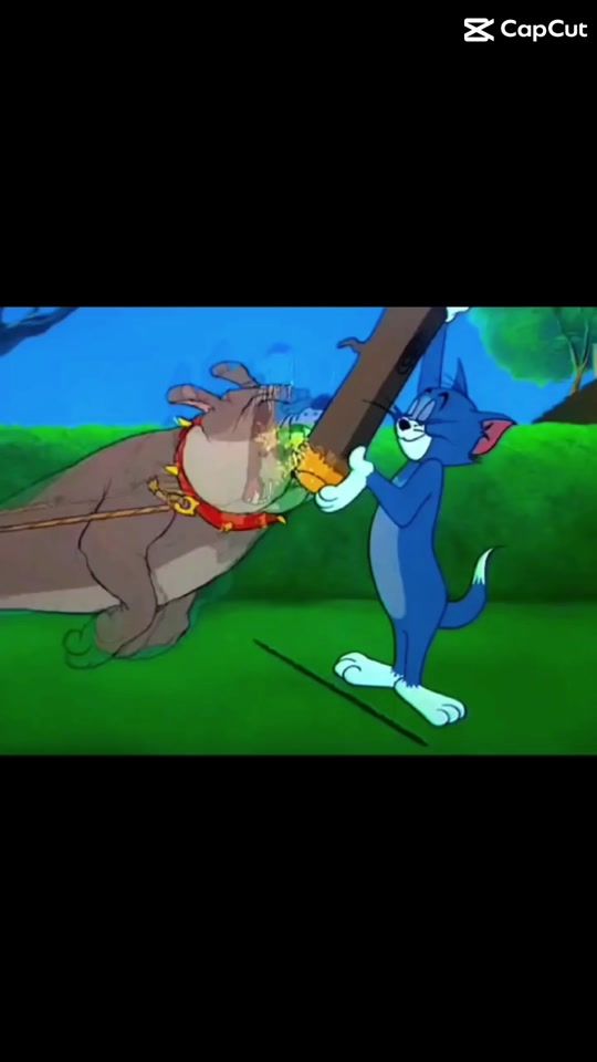 TikTok video thumbnail by saugat20681