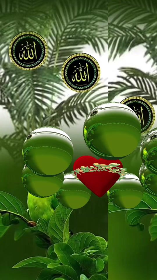 TikTok video thumbnail by ayham19730