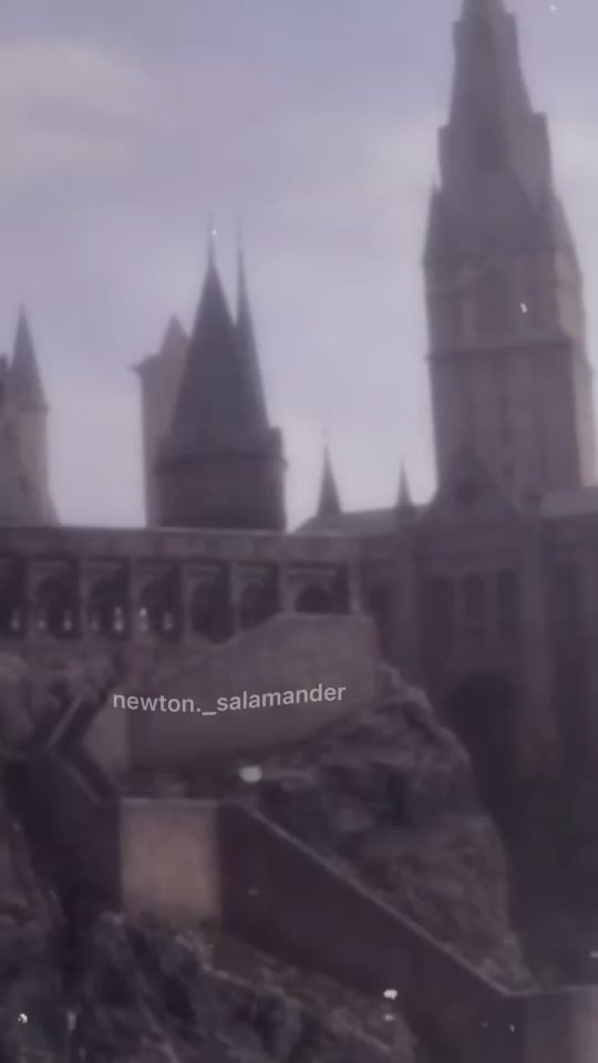TikTok video thumbnail by newton._salamander