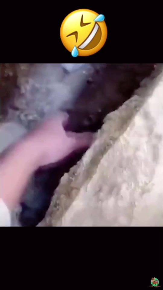 TikTok video thumbnail by piettro_63