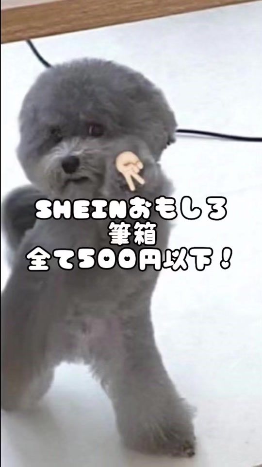TikTok video thumbnail by eqatdtmvjdt